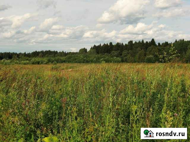 Участок ИЖС 7 сот. на продажу в Скоропусковском Скоропусковский - изображение 1