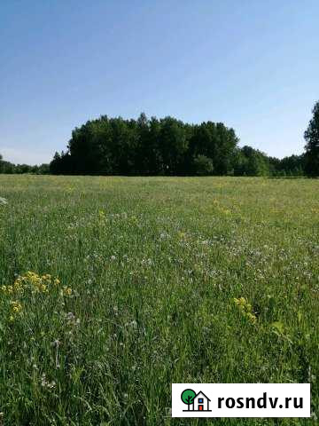 Участок СНТ, ДНП 1000 сот. на продажу в Искитиме Искитим - изображение 1