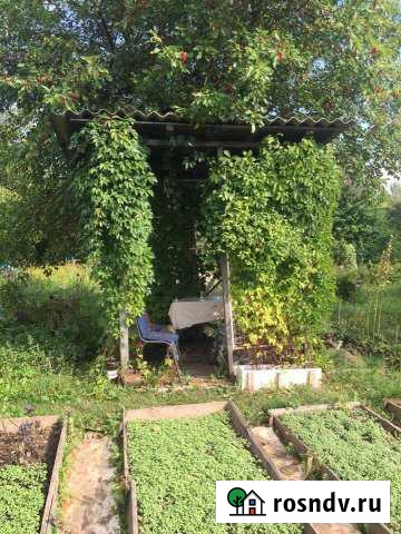 Дача 20 м² на участке 7.6 сот. на продажу в Шуе Ивановской области Шуя - изображение 1