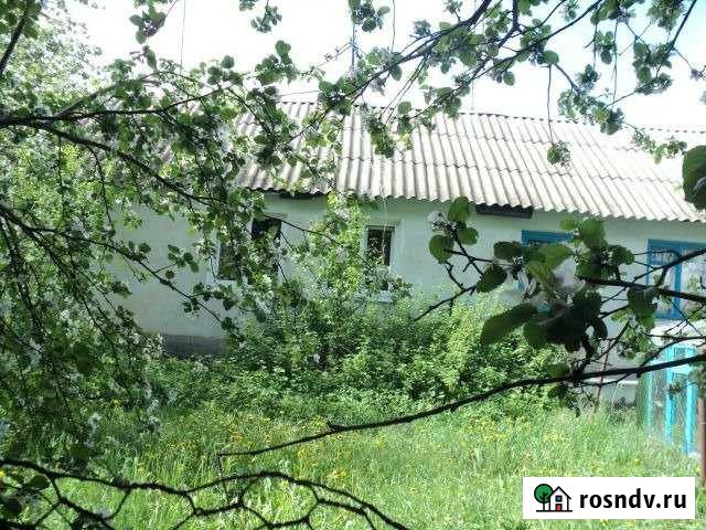 Дом 50.4 м² на участке 15 сот. на продажу в Теплом Теплое - изображение 1