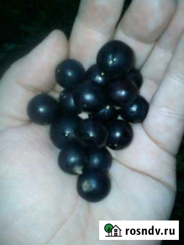 Участок промназначения 8 сот. на продажу в Юрюзани Юрюзань - изображение 1