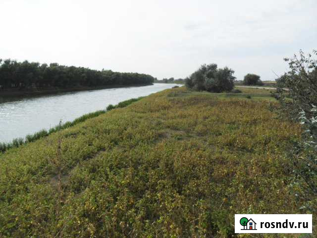 Участок СНТ, ДНП 2000 сот. на продажу в Камызяке Камызяк - изображение 1