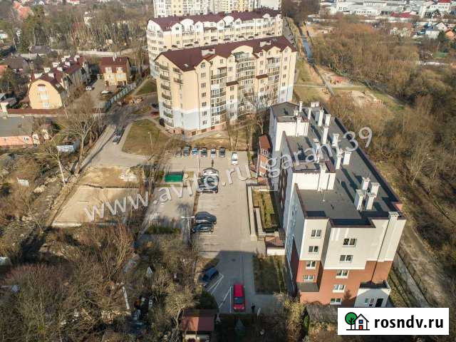 Офисное помещение, 20.2 кв.м. Калининград - изображение 1