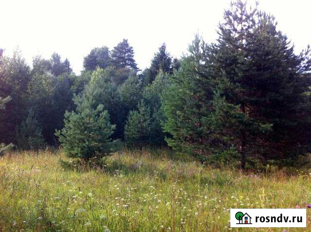 Участок ИЖС 10 сот. на продажу в Демянске Демянск - изображение 1