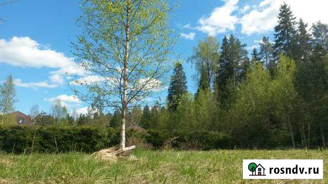 Участок СНТ, ДНП 6 сот. на продажу в Первомайском Ленинградской области Первомайское - изображение 1