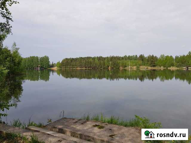 Участок ИЖС 10 сот. на продажу в Сосновом Бору Сосновый Бор - изображение 1