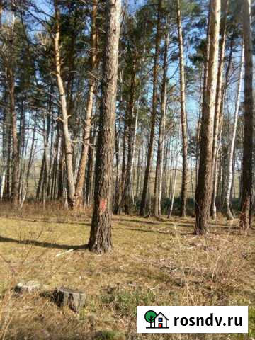 Участок ИЖС 15 сот. на продажу в Лесниково Лесниково - изображение 1