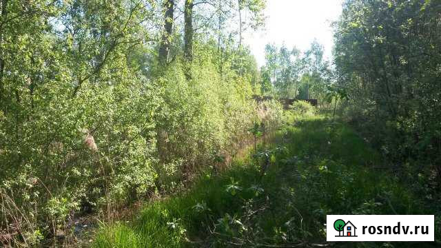 Участок СНТ, ДНП 10 сот. на продажу в Лотошино Лотошино - изображение 1