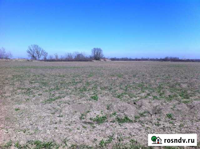 Участок СНТ, ДНП 800 сот. на продажу в Афипском Афипский - изображение 1