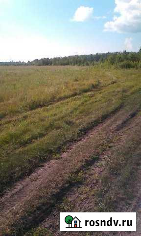 Участок СНТ, ДНП 1100 сот. на продажу в Ярково Тюменской области Ярково - изображение 1