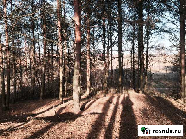 Участок ИЖС 20 сот. на продажу в Печорах Печоры - изображение 1