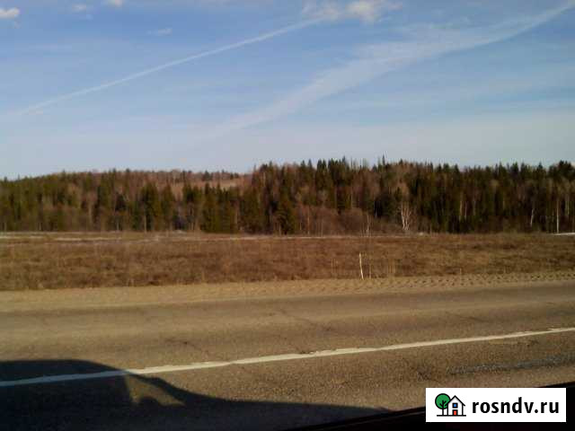 Участок СНТ, ДНП 550 сот. на продажу в Чернушке Чернушка - изображение 1