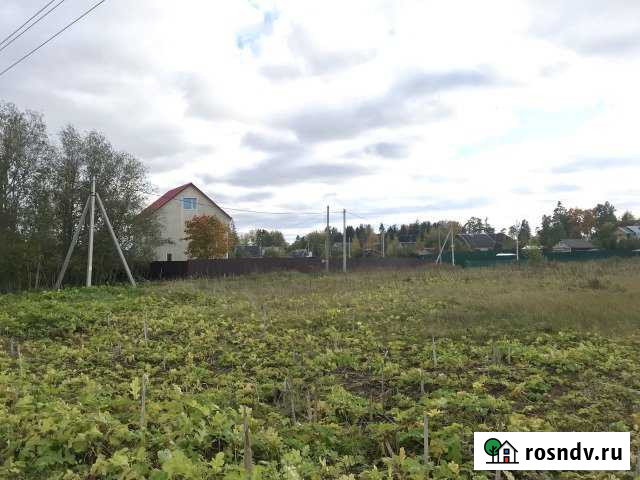 Участок ИЖС 16 сот. на продажу в Елизаветино Елизаветино - изображение 1