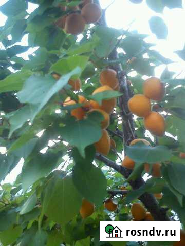 Дача 20 м² на участке 8 сот. на продажу в Подгородней Покровке Подгородняя Покровка - изображение 1