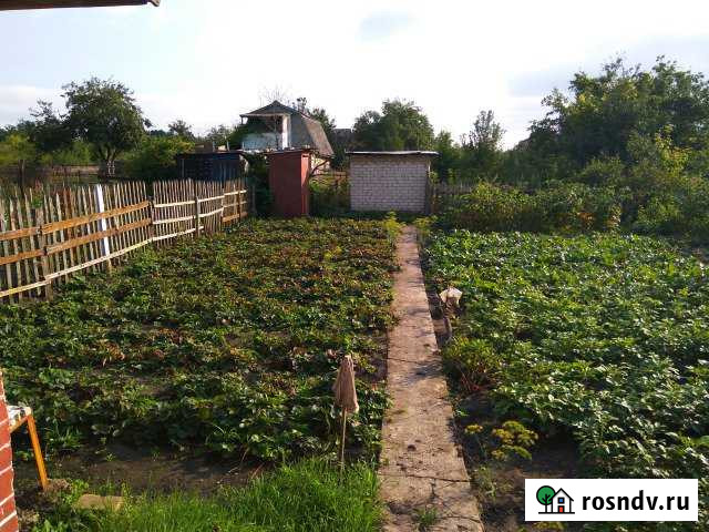 Дача 20 м² на участке 6 сот. на продажу в Ельце Елец - изображение 1