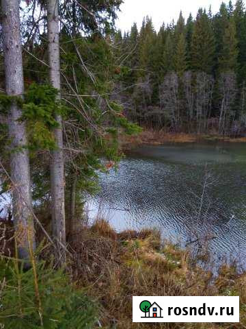 Участок промназначения 80 сот. на продажу в Гамово Гамово - изображение 1