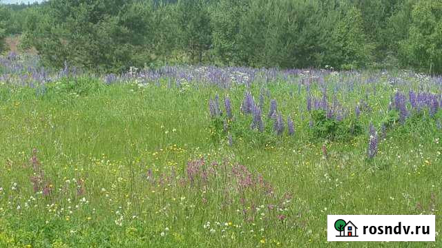 Участок ИЖС 42 сот. на продажу в Андреево Андреево - изображение 1