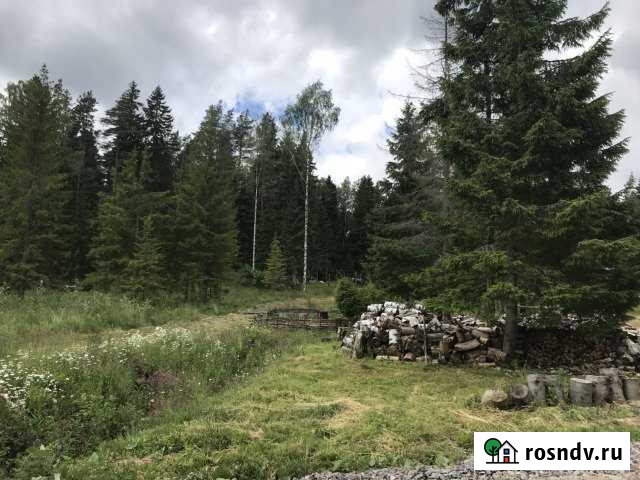 Участок ИЖС 12 сот. на продажу в Выборге Выборг - изображение 1