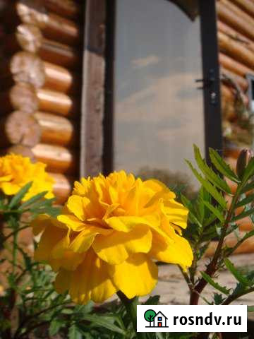 Дача 100 м² на участке 100 сот. в аренду посуточно в Перми Пермь - изображение 1