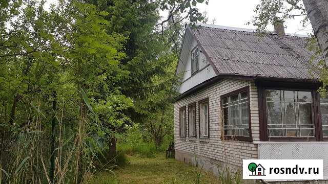 Дом 56 м² на участке 7 сот. на продажу в Синявино Синявино - изображение 1