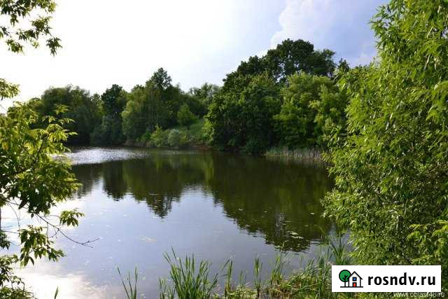 Участок ИЖС 63 сот. на продажу в Становом Становое - изображение 1