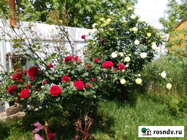 Дом 110 м² на участке 8 сот. на продажу в Юровке Юровка - изображение 1