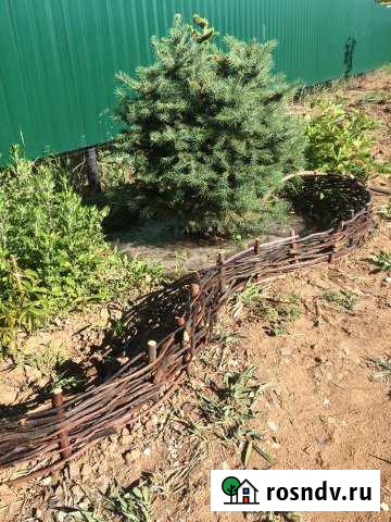 Дача 20 м² на участке 6 сот. на продажу в Красных Баррикадах Красные Баррикады - изображение 1