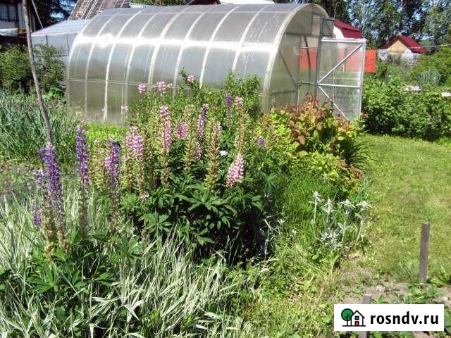 Дача 30 м² на участке 4.8 сот. на продажу в Горном Новосибирской области Горный - изображение 1