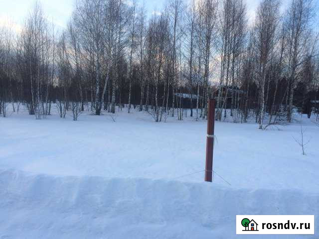 Участок СНТ, ДНП 10 сот. на продажу в Ашукино Ашукино - изображение 1