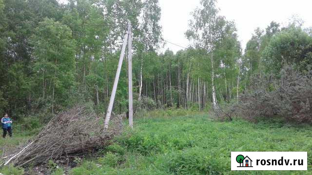 Участок СНТ, ДНП 6 сот. на продажу в Жукове Жуков - изображение 1