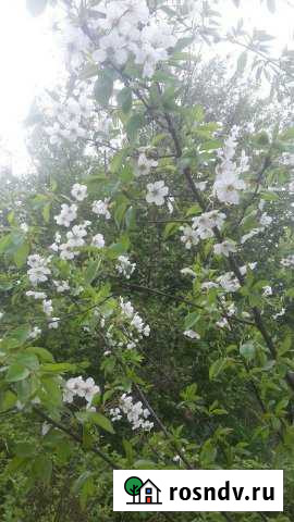 Участок СНТ, ДНП 150 сот. на продажу в Ильском Ильский - изображение 1