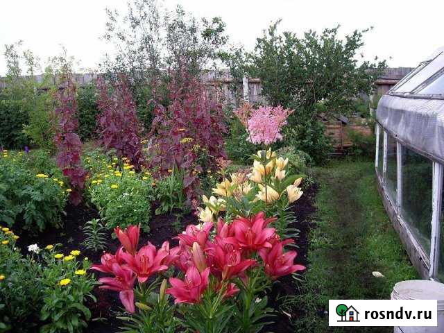 Дача 20 м² на участке 8 сот. на продажу в Верхнем Дуброво Верхнее Дуброво - изображение 1