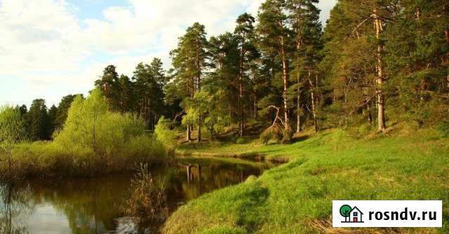 Участок СНТ, ДНП 15 сот. на продажу в Лесниково Лесниково - изображение 1