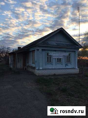 Дом 29 м² на участке 31 сот. на продажу в Починках Починки - изображение 1