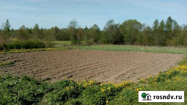 Участок ИЖС 165 сот. на продажу в Печорах Печоры - изображение 1