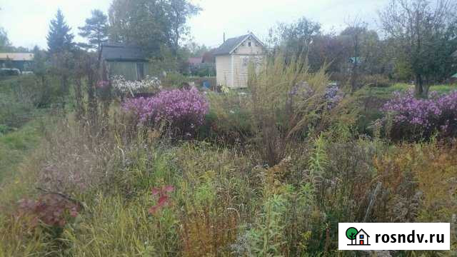 Участок СНТ, ДНП 6 сот. на продажу в Костерево Костерево - изображение 1