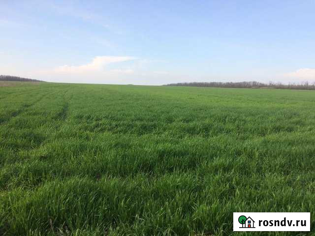 Участок СНТ, ДНП 110 сот. на продажу в Рассвете Ростовской области Рассвет - изображение 1