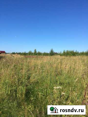 Участок СНТ, ДНП 10 сот. на продажу в Богородском Московской области Богородское - изображение 1