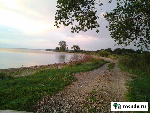 Участок СНТ, ДНП 3000 сот. на продажу в Мамоново Мамоново - изображение 1