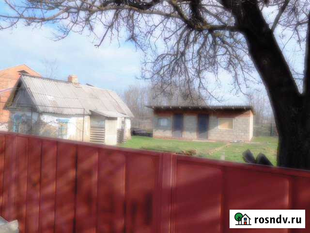 Участок ИЖС 31 сот. на продажу в Новомалороссийской Новомалороссийская - изображение 1