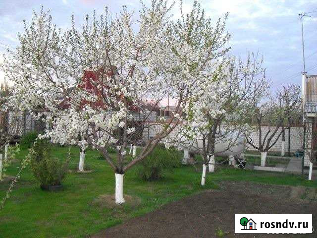 Дом 142 м² на участке 14 сот. на продажу в Городище Волгоградской области Городище - изображение 1