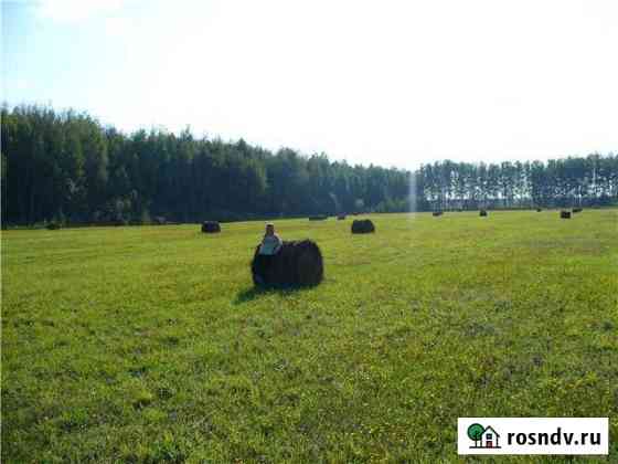 Участок СНТ, ДНП 335 сот. на продажу в Шацке Шацк