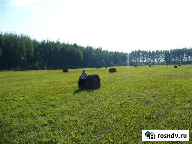 Участок СНТ, ДНП 335 сот. на продажу в Шацке Шацк - изображение 1