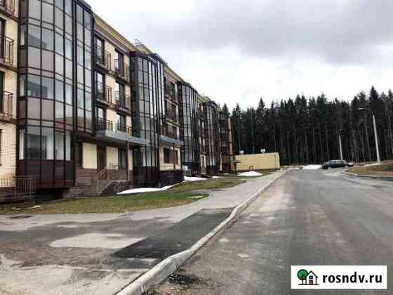Квартира-студия, 22 м², 4/4 эт. на продажу в Сертолово Сертолово
