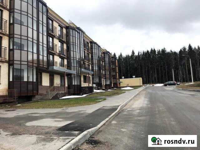 Квартира-студия, 22 м², 4/4 эт. на продажу в Сертолово Сертолово - изображение 1