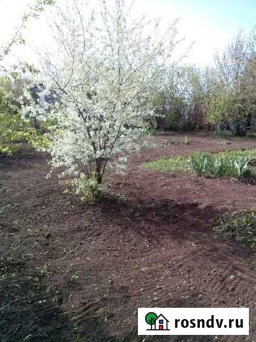 Дача 20 м² на участке 7 сот. на продажу в Плешаново Плешаново - изображение 1