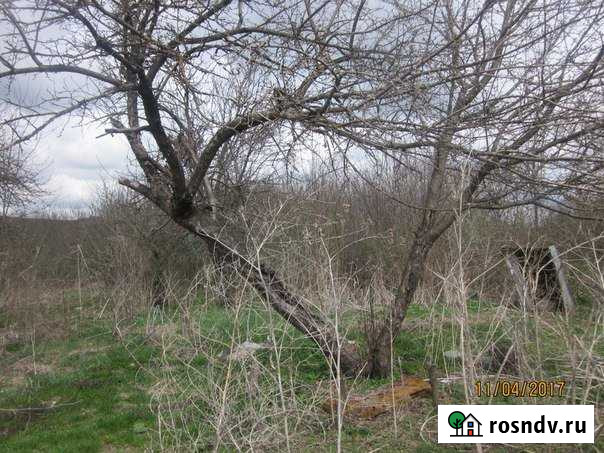 Участок ИЖС 40 сот. на продажу в Попутной Попутная - изображение 1