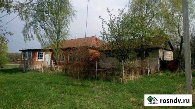 Дом 55 м² на участке 46 сот. на продажу в Становом Становое - изображение 1