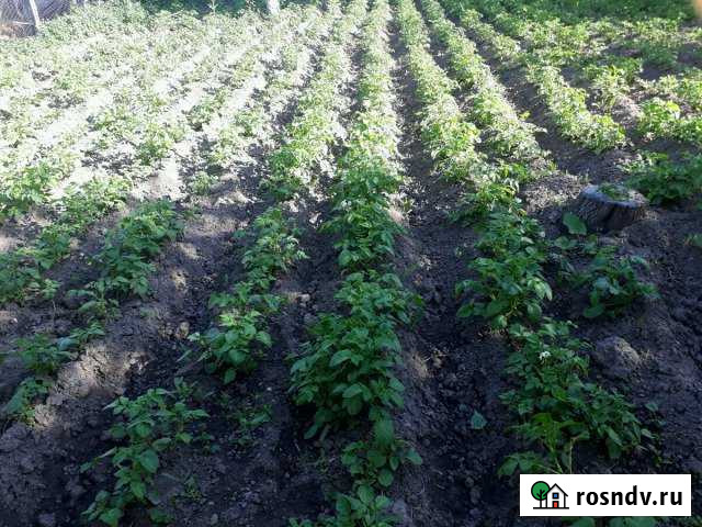 Дом 70 м² на участке 6 сот. на продажу в Карачаевске Карачаевск - изображение 1