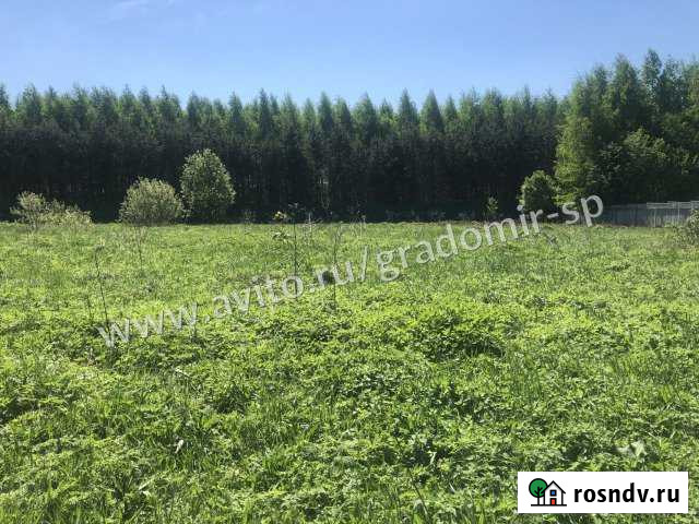 Участок ИЖС 17 сот. на продажу в Икше Икша - изображение 1